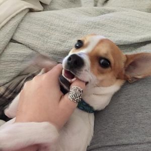 Meet your Posher, Kristy